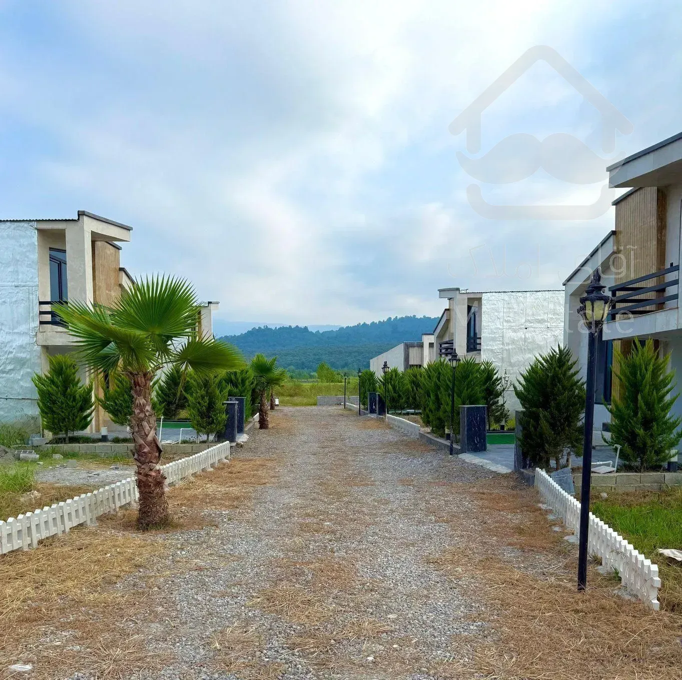 هـمــصـفا * ۳۶۰ درجه جــنگل *‌ فـوری