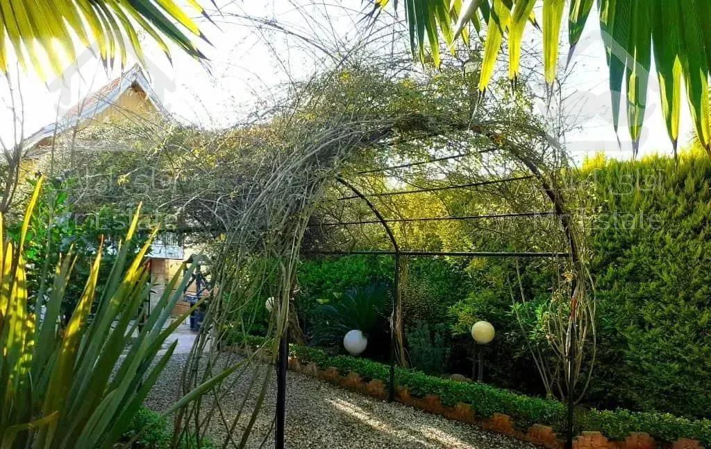 تک واحدی سنددار ۳۰۰ متری