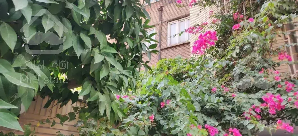 80متر - حوالی پارک لاله