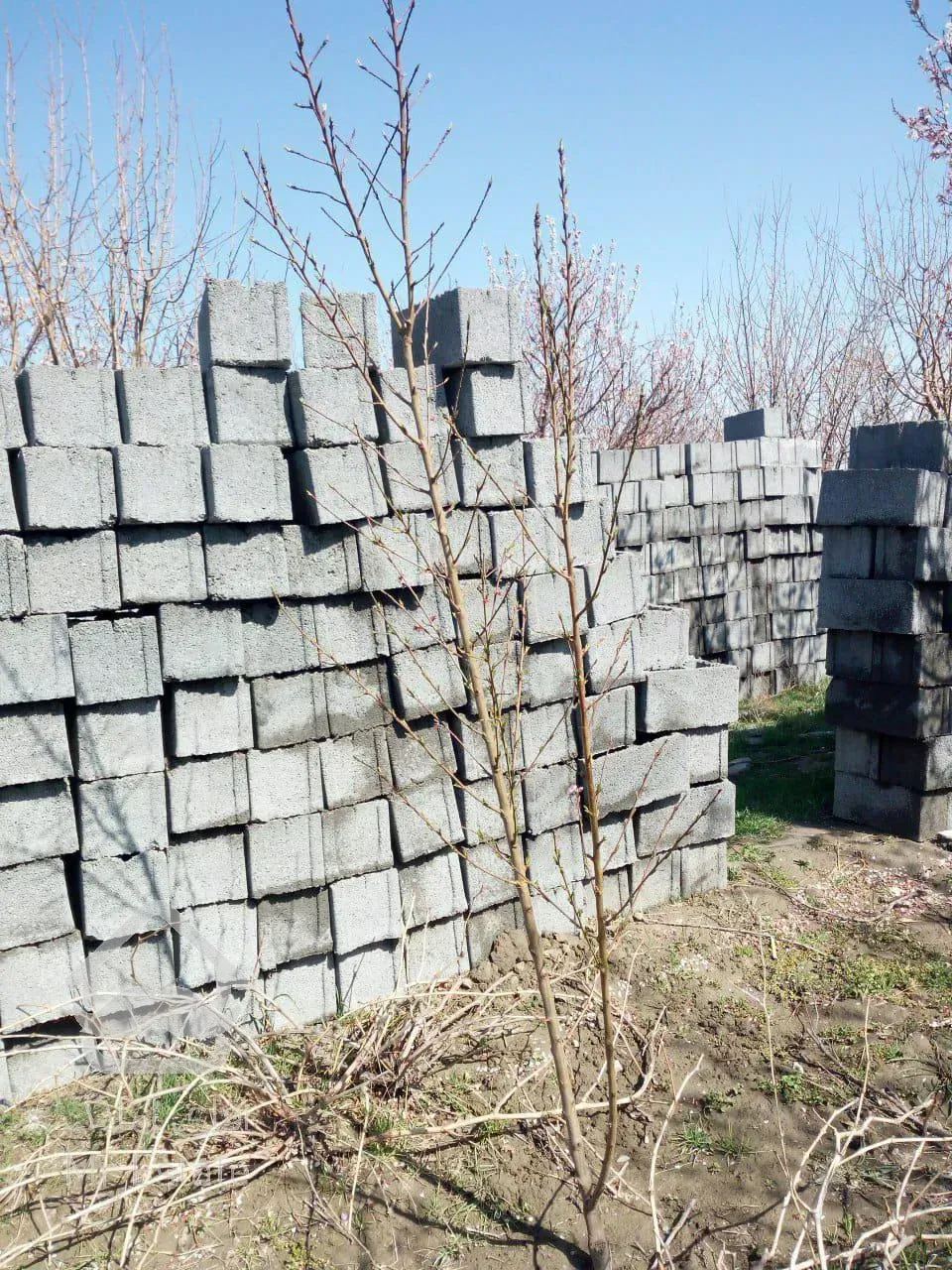 باغ میوه / زمین / باغ ویلا