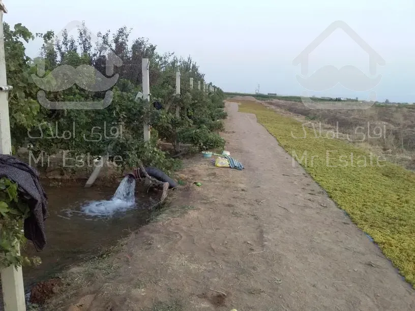 ملک تجاری مسکونی