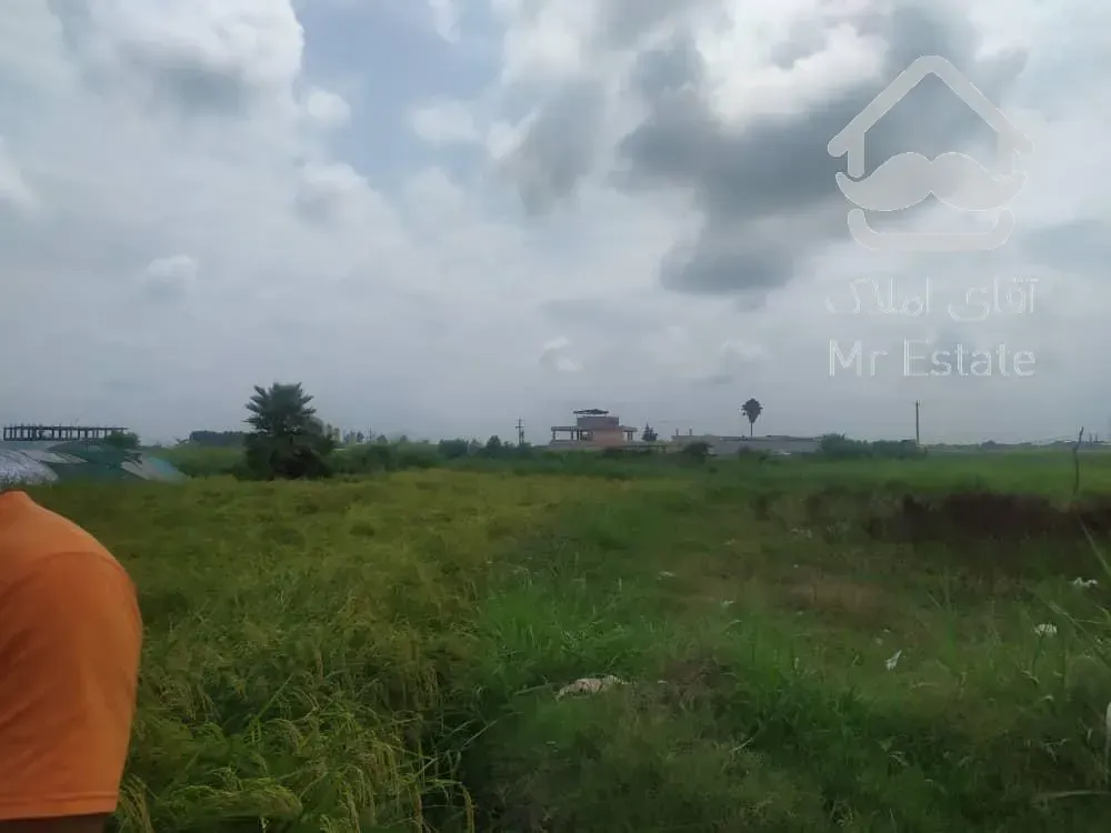 زمين ١٥٥ متري نزديك دريا و منطقه بدون مزاحم