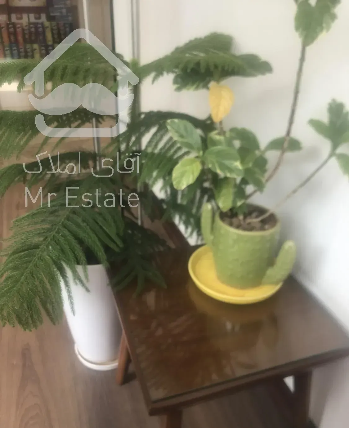 اجاره سوییت ٤٠ متری بصورت ماهانه