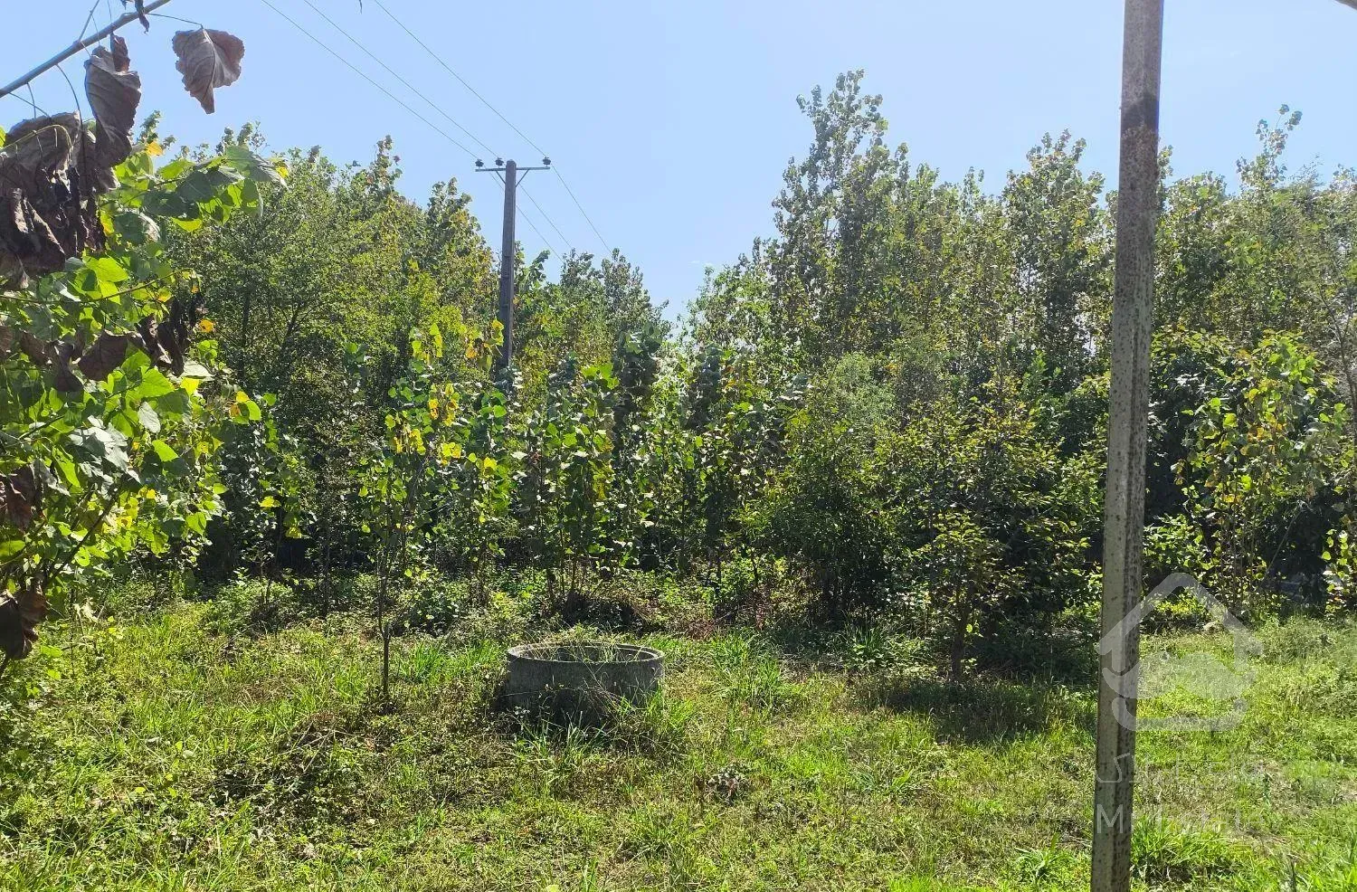 فروش ویلا و زمین