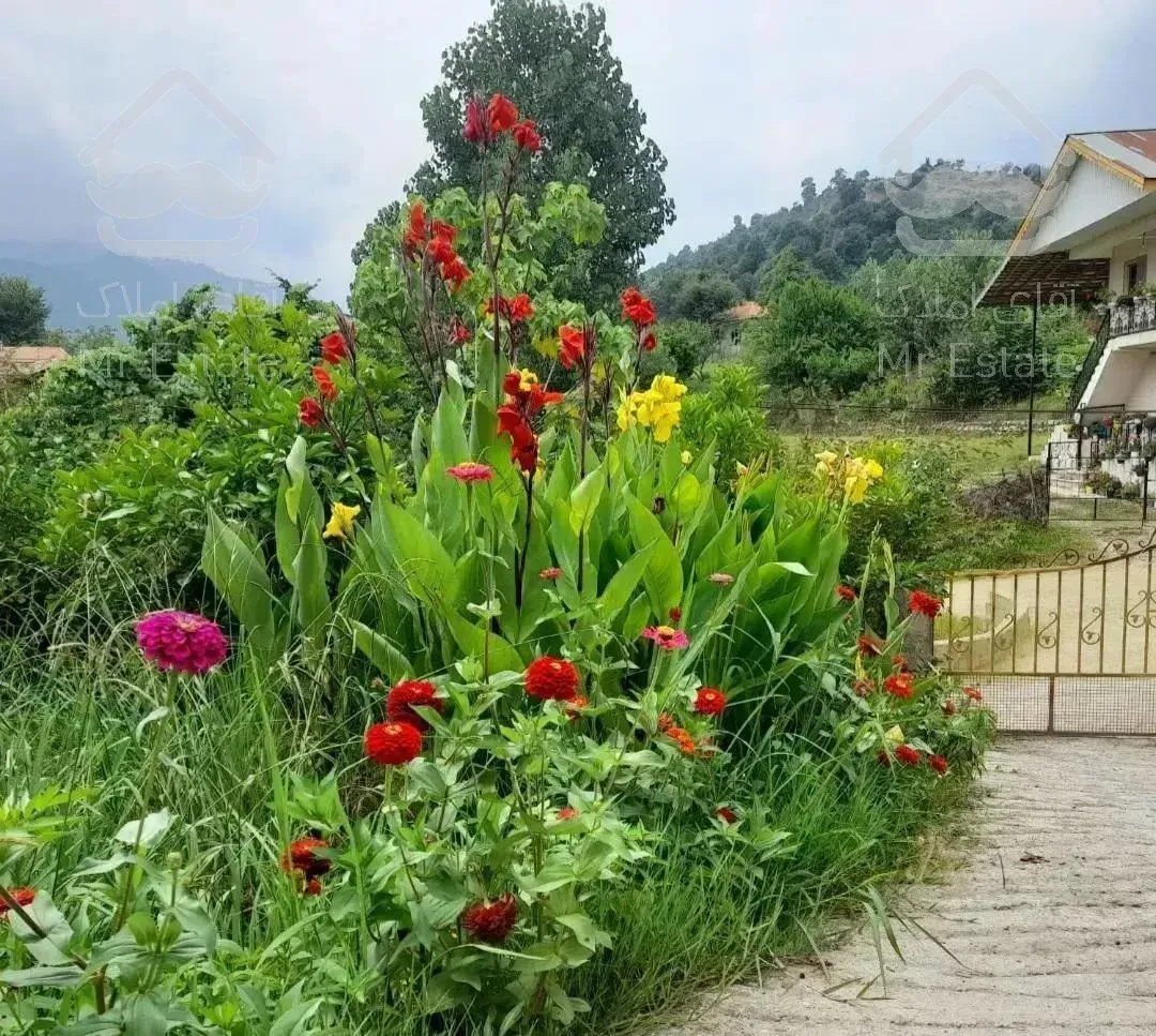 اجاره باغ ویلا تراس دار جاده ماسوله