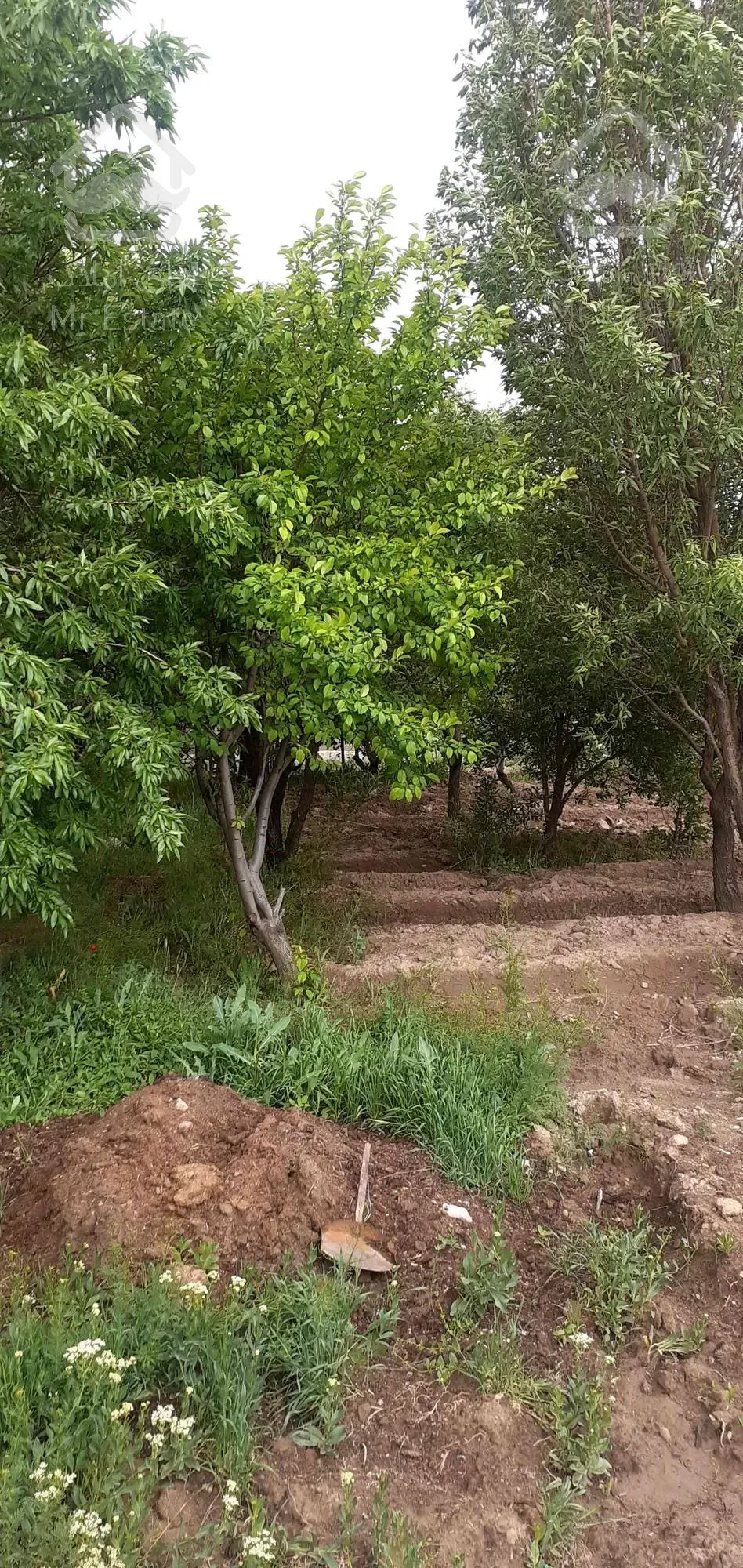 ویلا باغ دارای همه اماکانات در تبریز