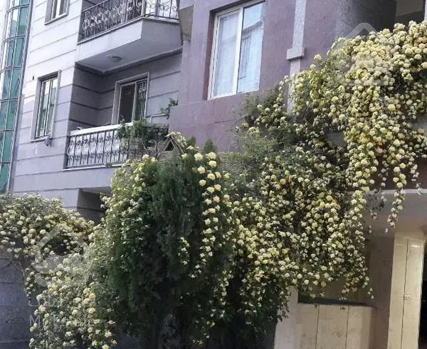 آپارتمان ۵۰ متری ، فول ، شهران شمالی