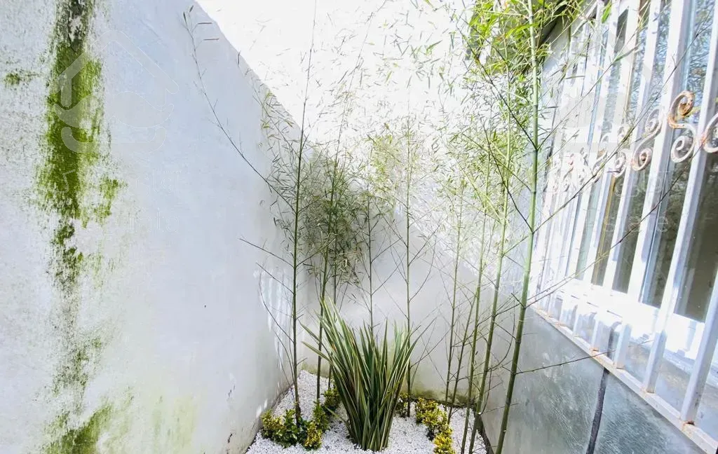 ویلا۲۱۰متری/سنددار/ساحلی زیبا کنار