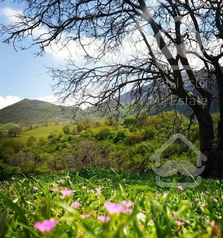 سوئیت اجاره در نزدیک آینالو