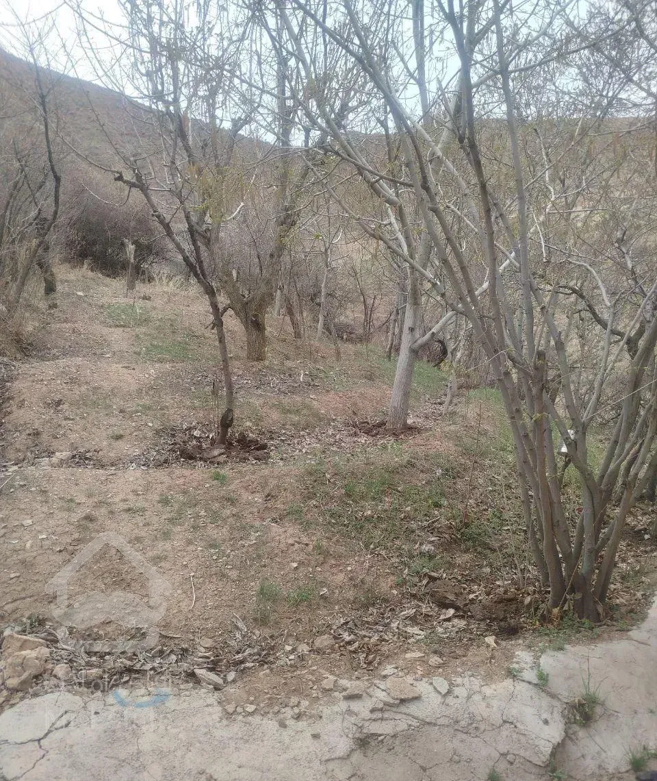 فروش باغ ب همراه خانه باغ