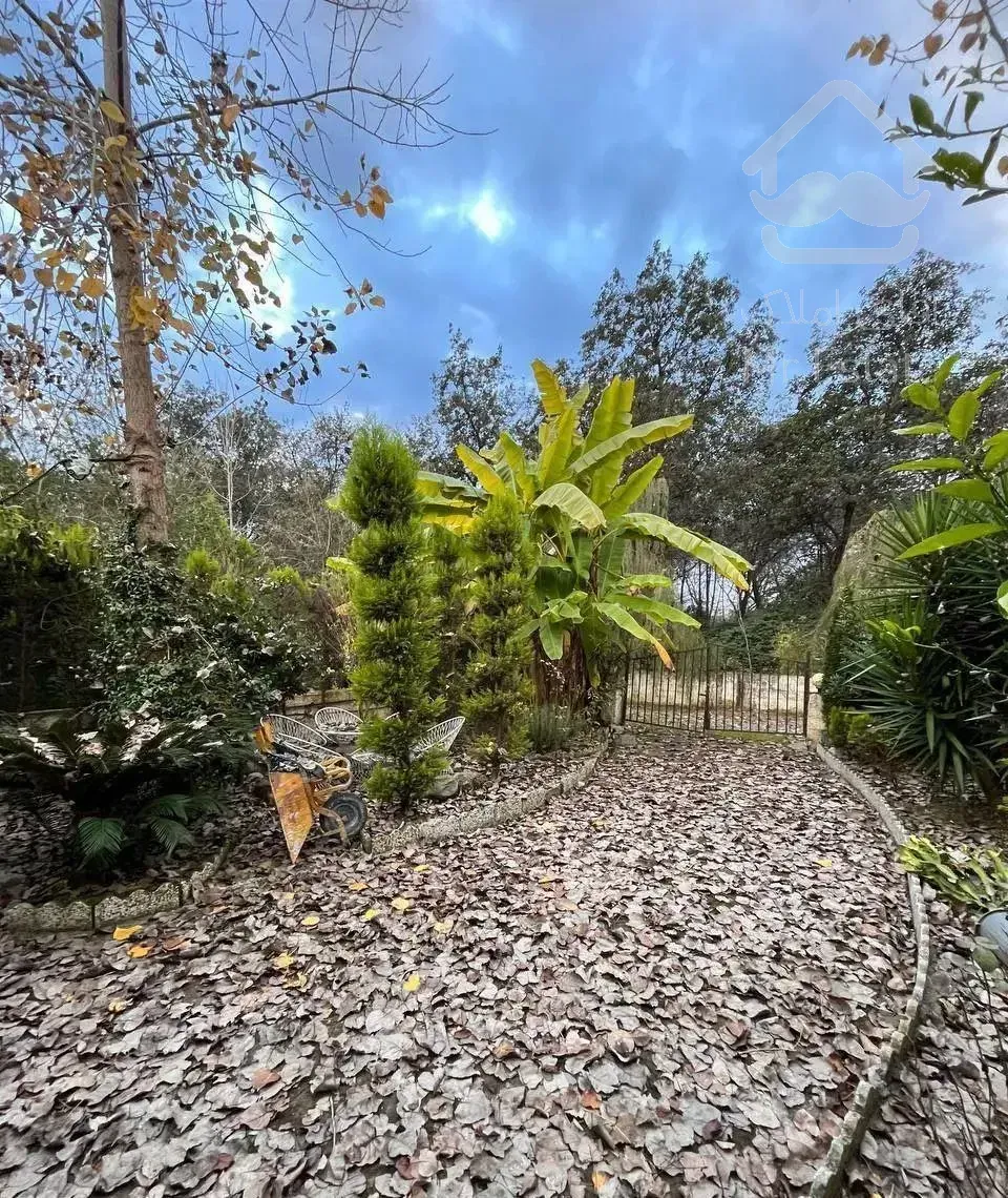 ویلا باغ ۳۰۰م سنددار شهرکی به قیمت ویو جنگل