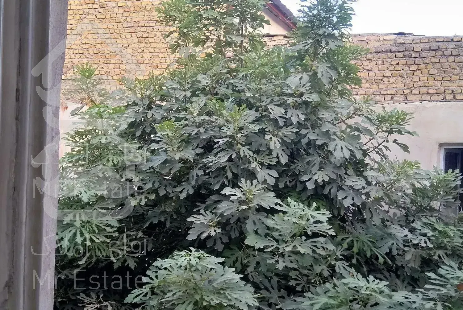 منزل دربست دلباز بزرگ غرق نور