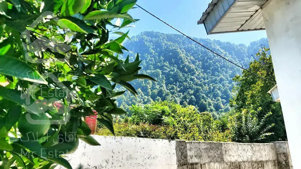 ١٥٠ متر ويلا دوبلكس با ويوي ابدي جنگل