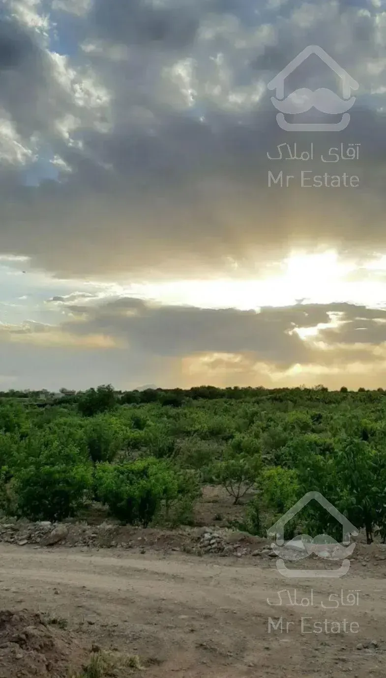 باغ میوه نقلی