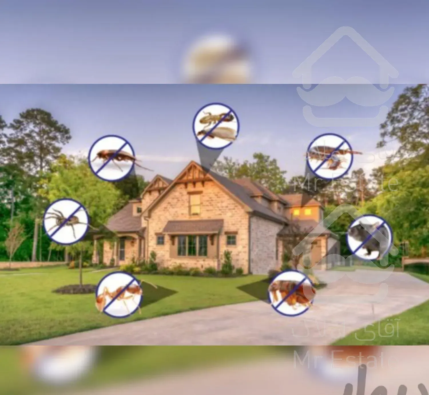 سم پاشی تخصصی