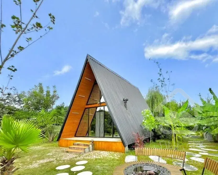 اولین شهر آمازونی ایران همین‌جاست