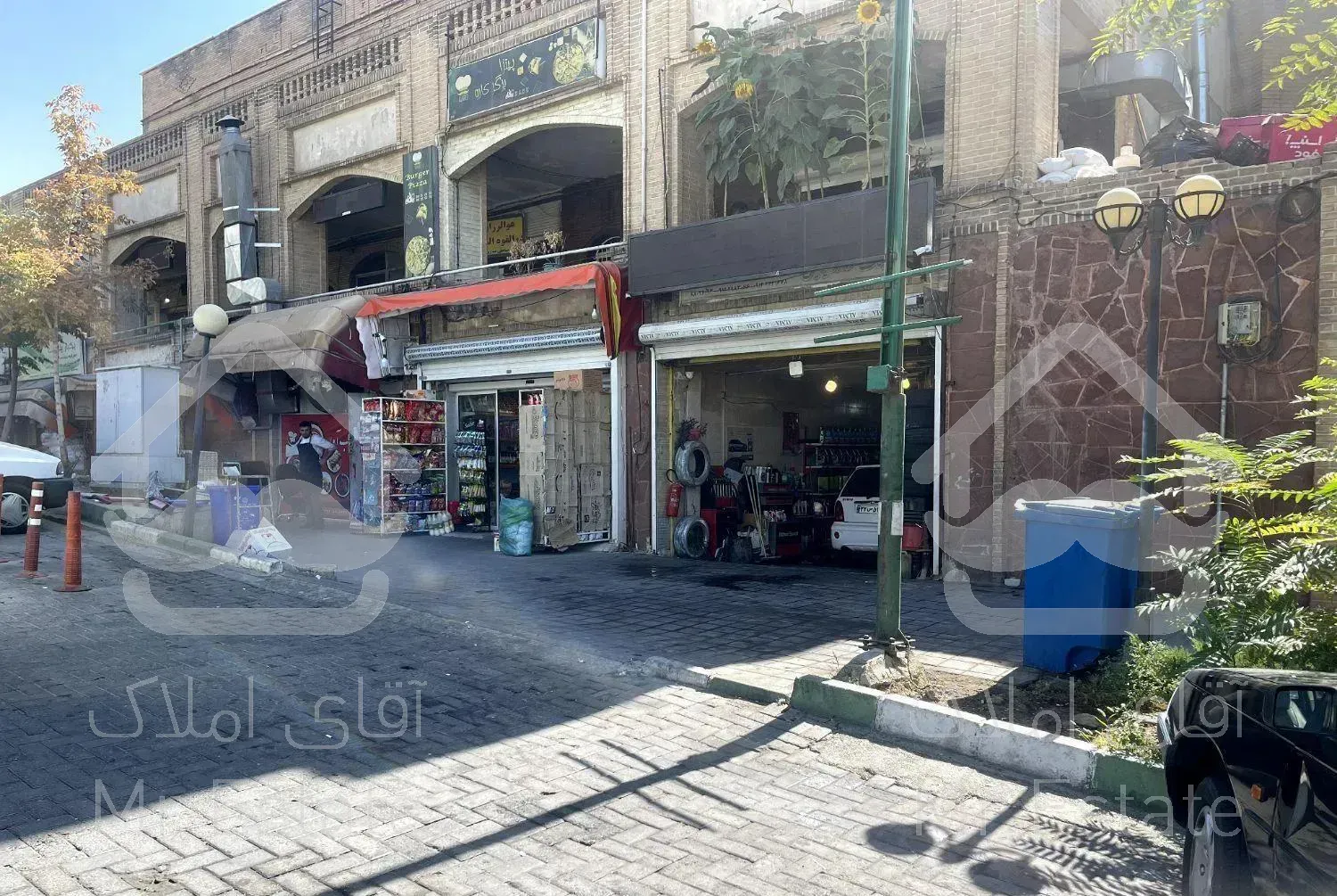 ۵۴ متر تک برگ تجاری