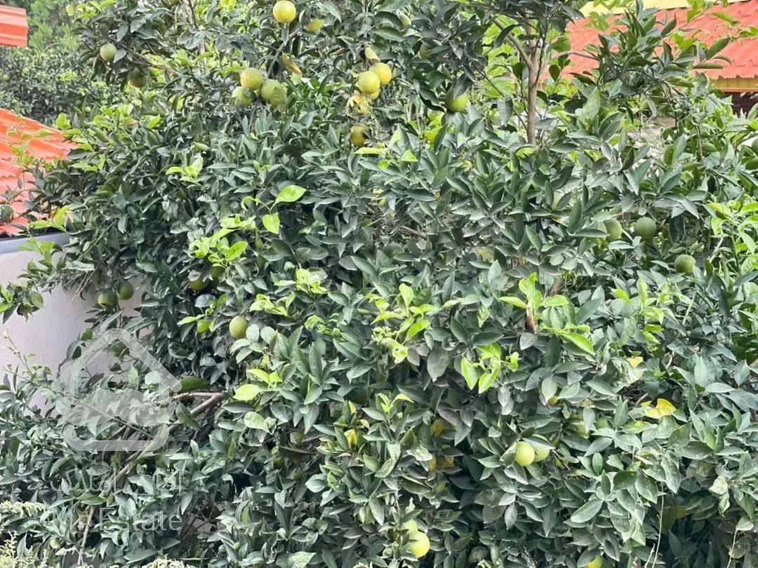 فروووش ویلا باغ در محیطی باغی و سرسبز ۴۰۰ متری در آمل