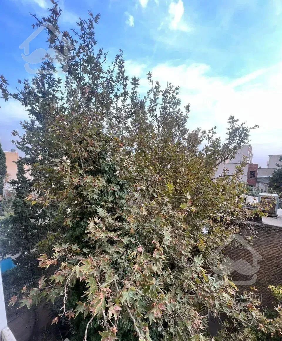 دولت /سه راه نشاط /118متر 3خواب/ تخلیه