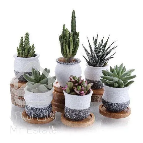 گل و گیاه و سفال