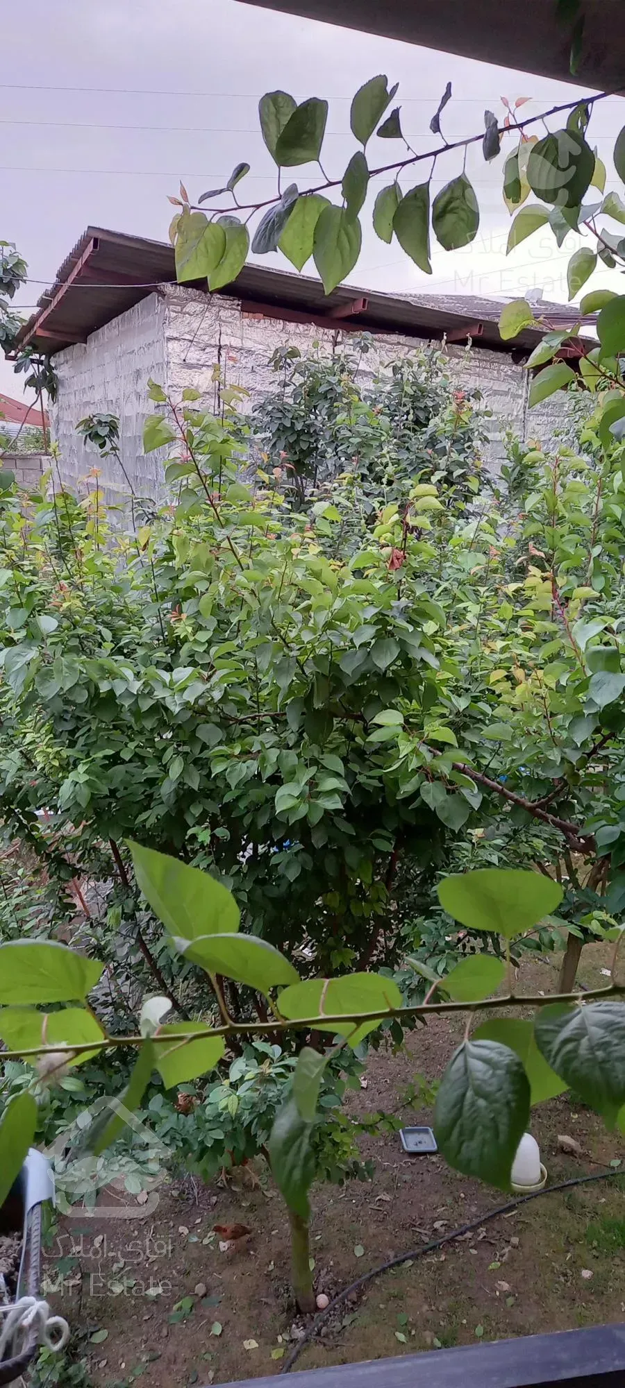 فروش ویلاباغ با ویژگی های عالی در مازندران