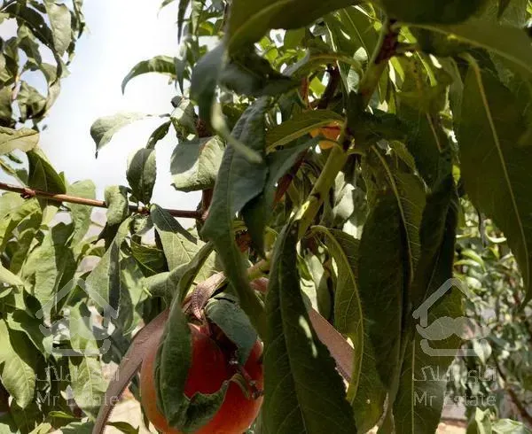 خانه ویلایی ۱۶۱ متری با یک سوئیت مجزا