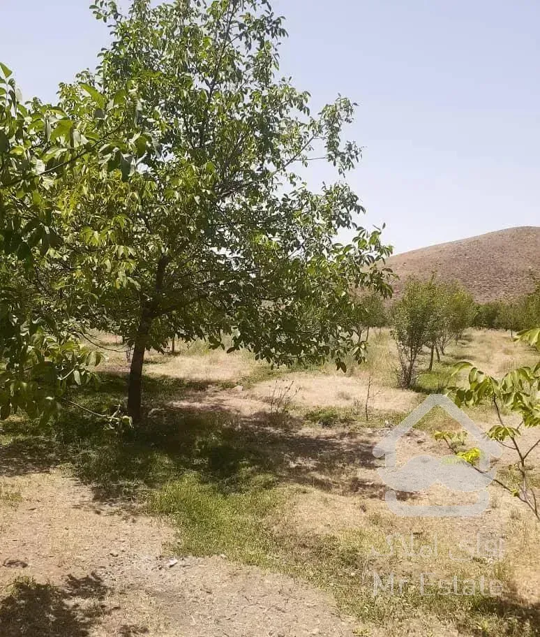 باغ میوه  چشم انداز خیلی عالی