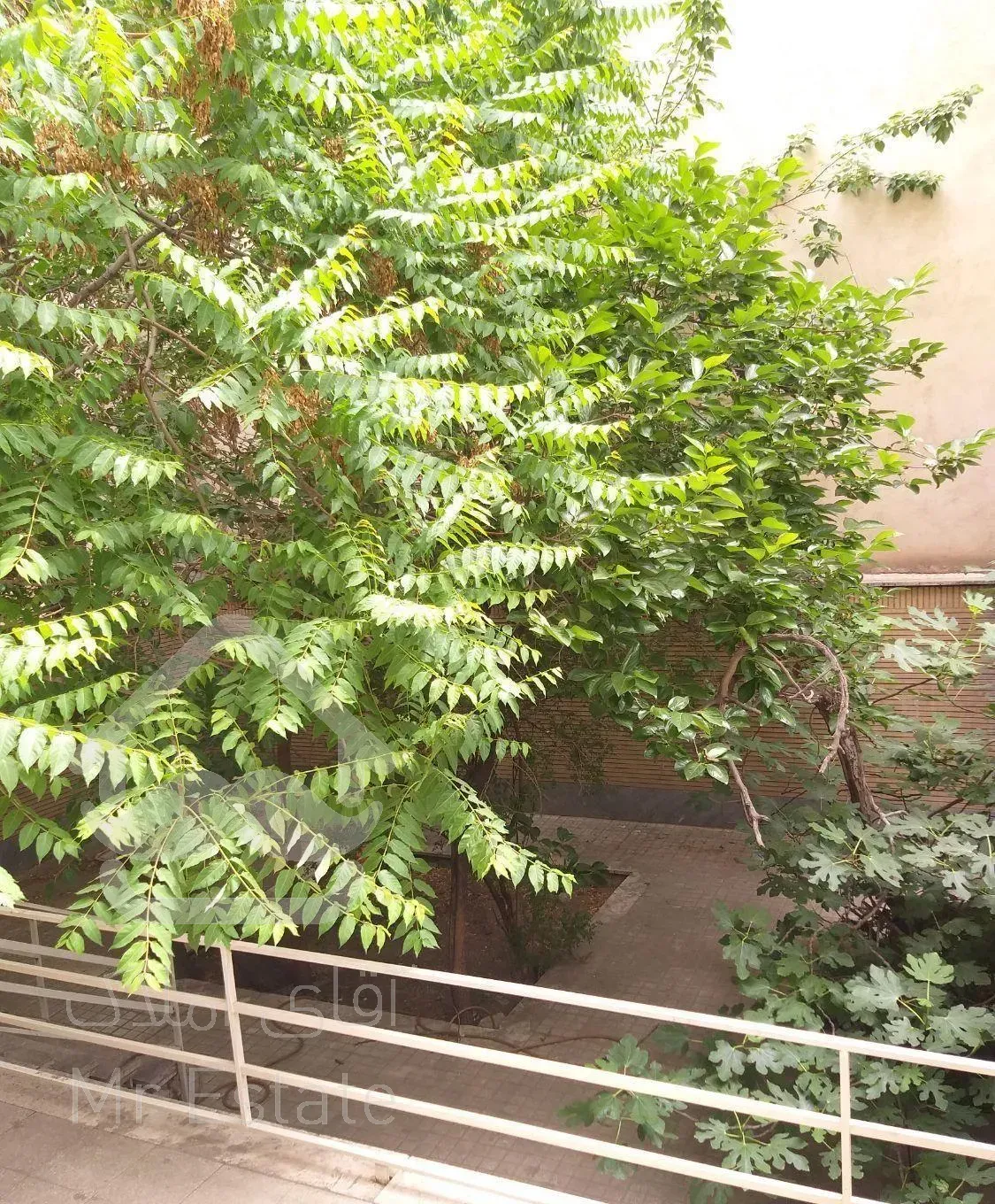 ۵۴متر ۱خواب+۵۰مترحیاط/دبستان‌سیدخندان/۵دقیقه‌مترو