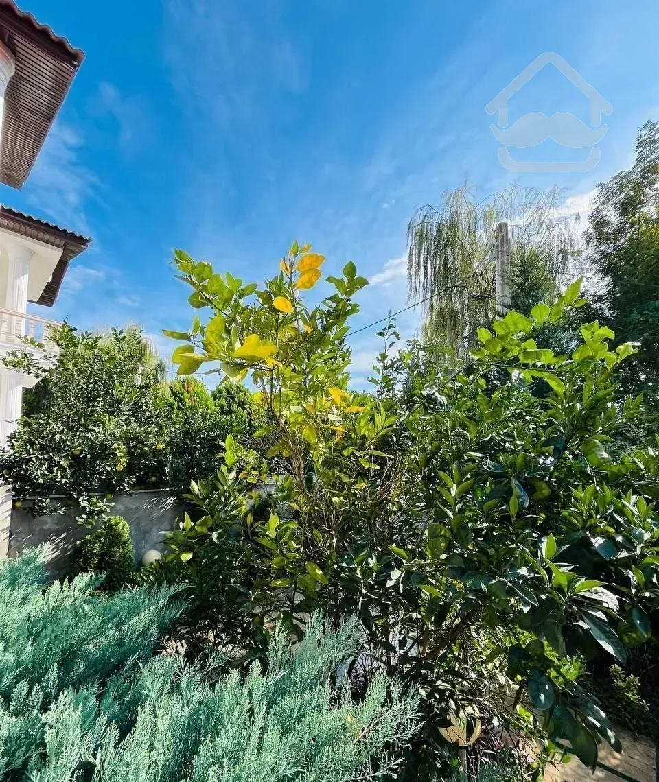 نیم پیلوت جنگلی*۲۲۰م*۳کنتور اختصاصی*سنددار