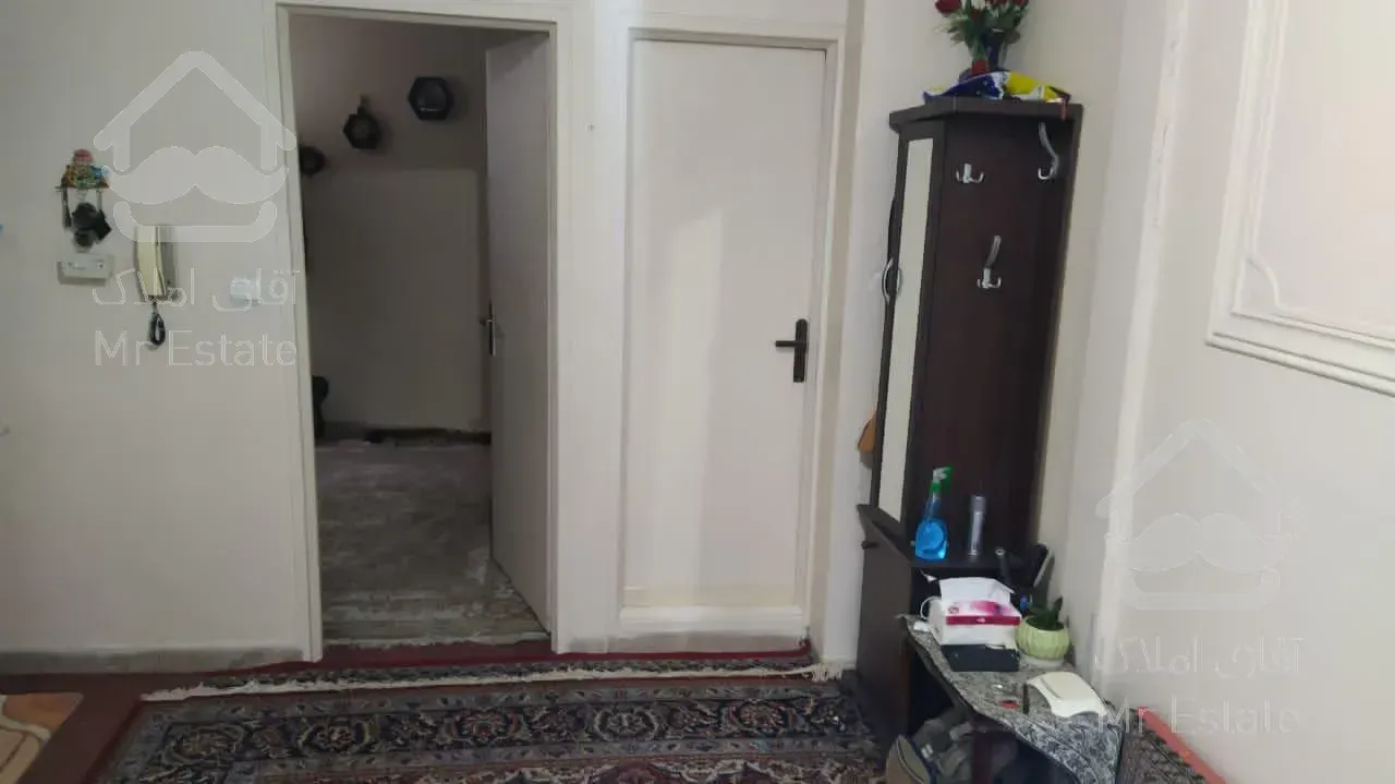 ۳۶متری یک خوابه دامپزشکی