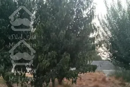 زمین ۵۵۰ متر تهراندشت