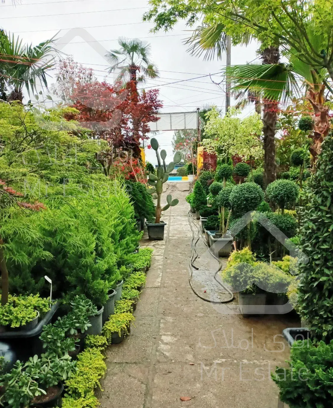 طراحی و اجرای فضای سبز