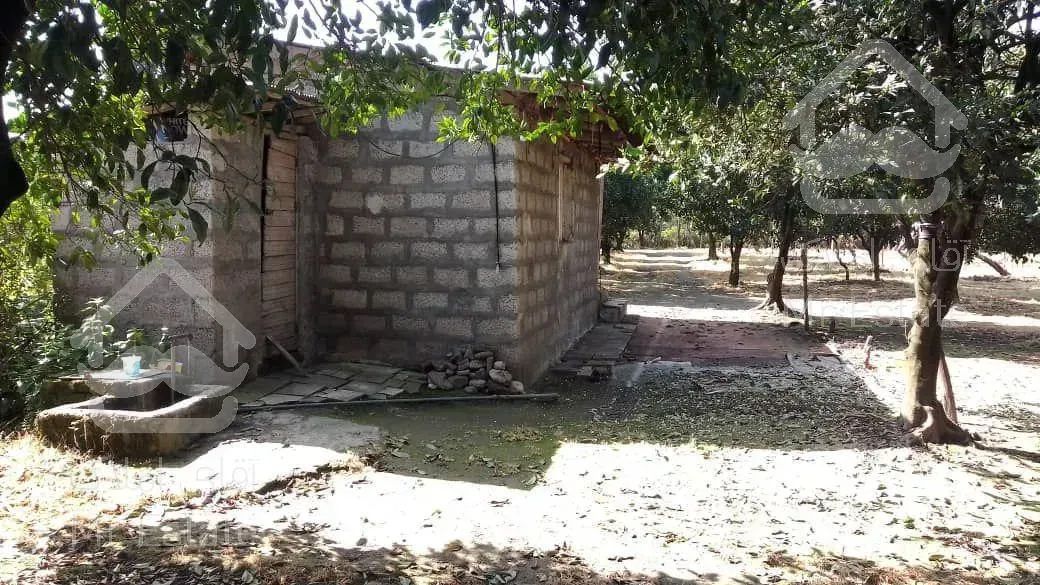 فروش باغ مرکبات و کیوی با قابلیت شهرک سازی