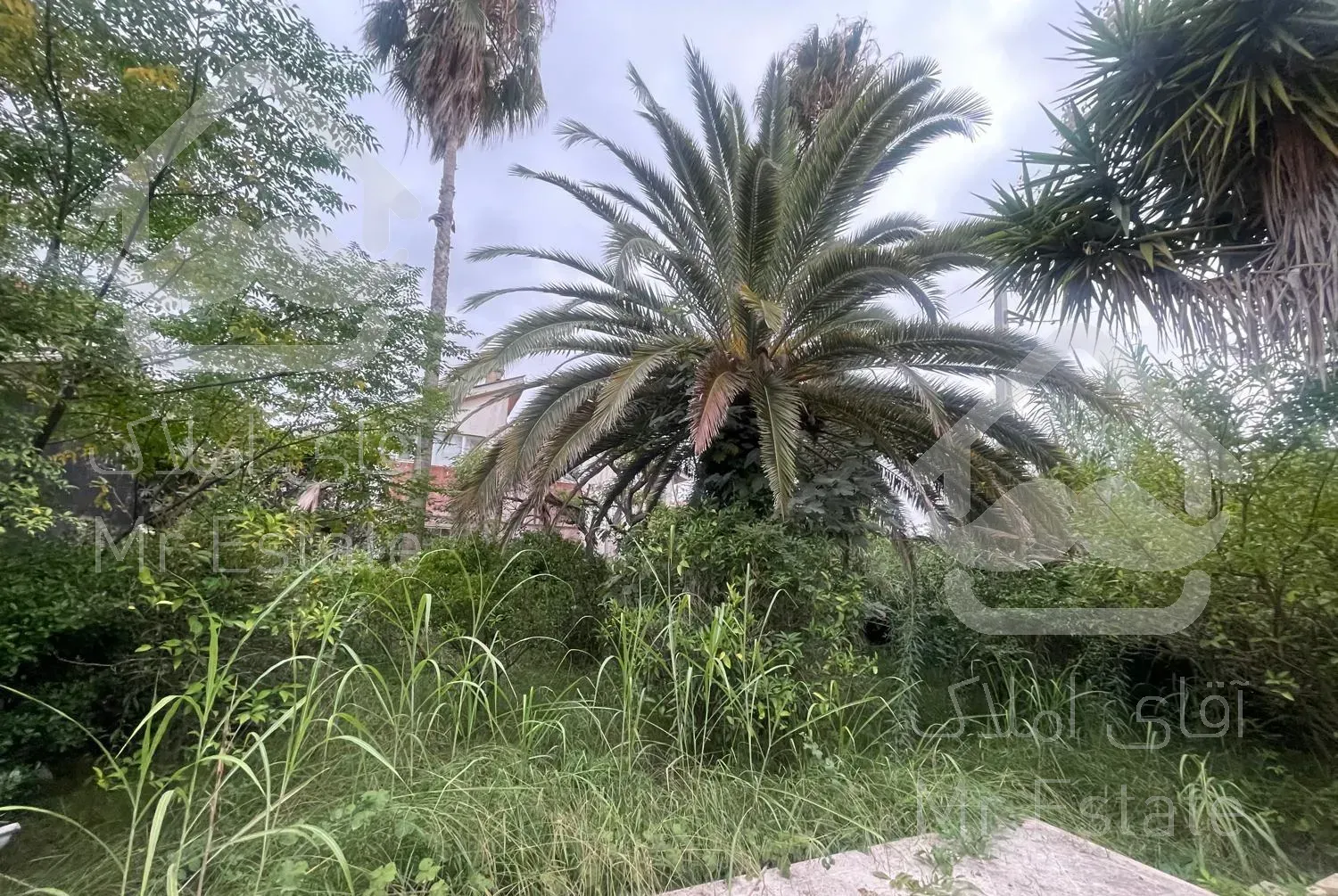 ویلا باغ ۵۲۰ متری شهرک دریاکنار مناسب سرمایه گذاری