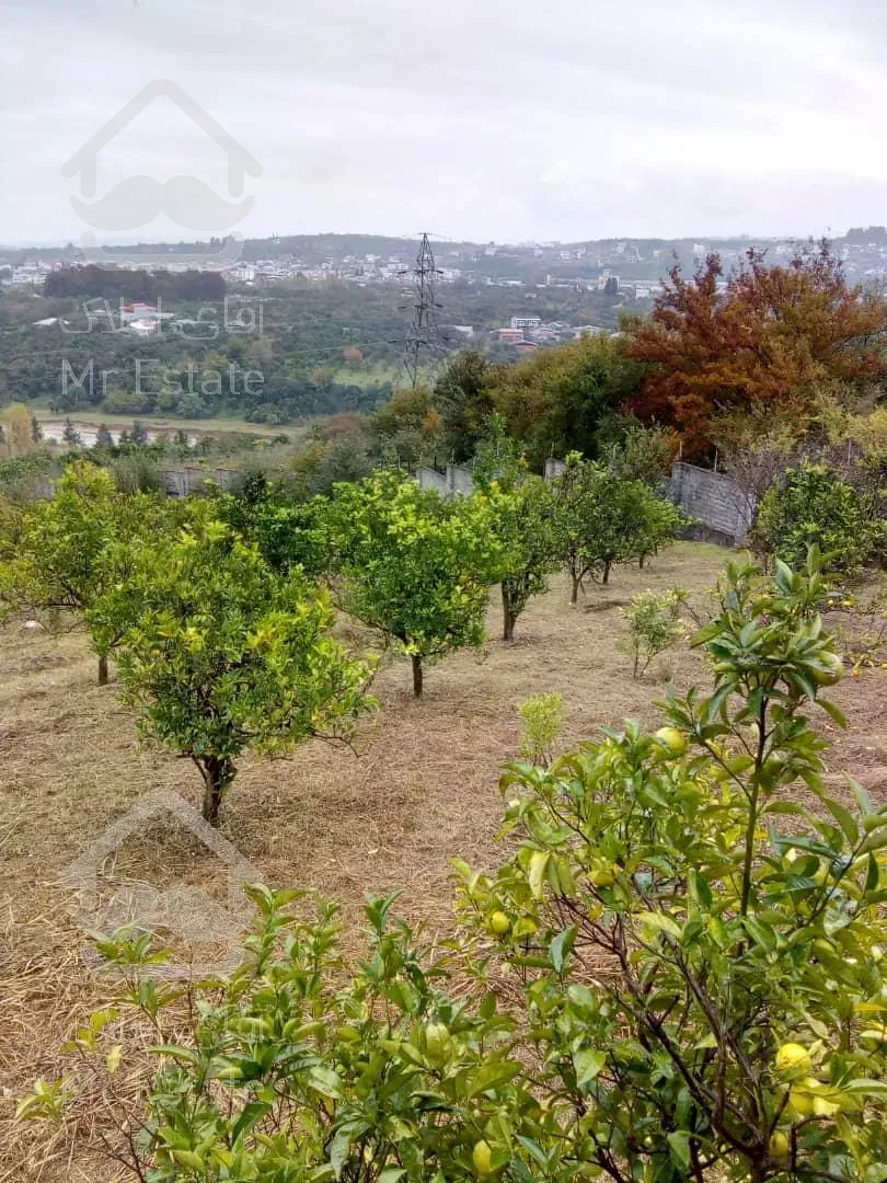 باغ ۱۳۰۰۰ متری در مازندران