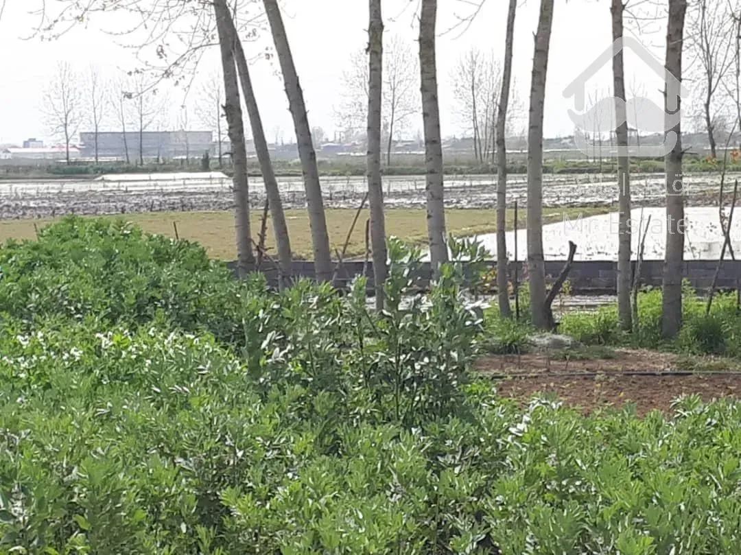 300 متری مسکونی/دارای جواز ساخت