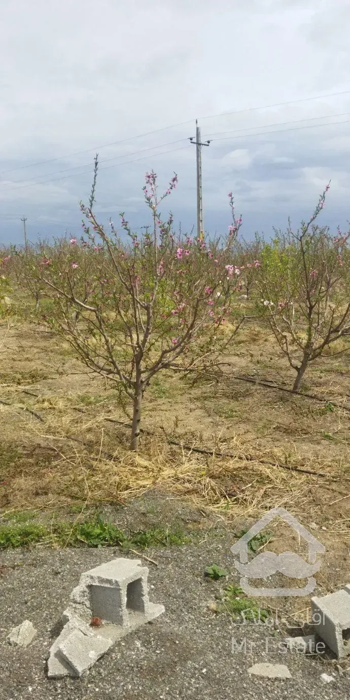 باغ ۳۰۰متر .با آب .نزدیک جاده نظرلو