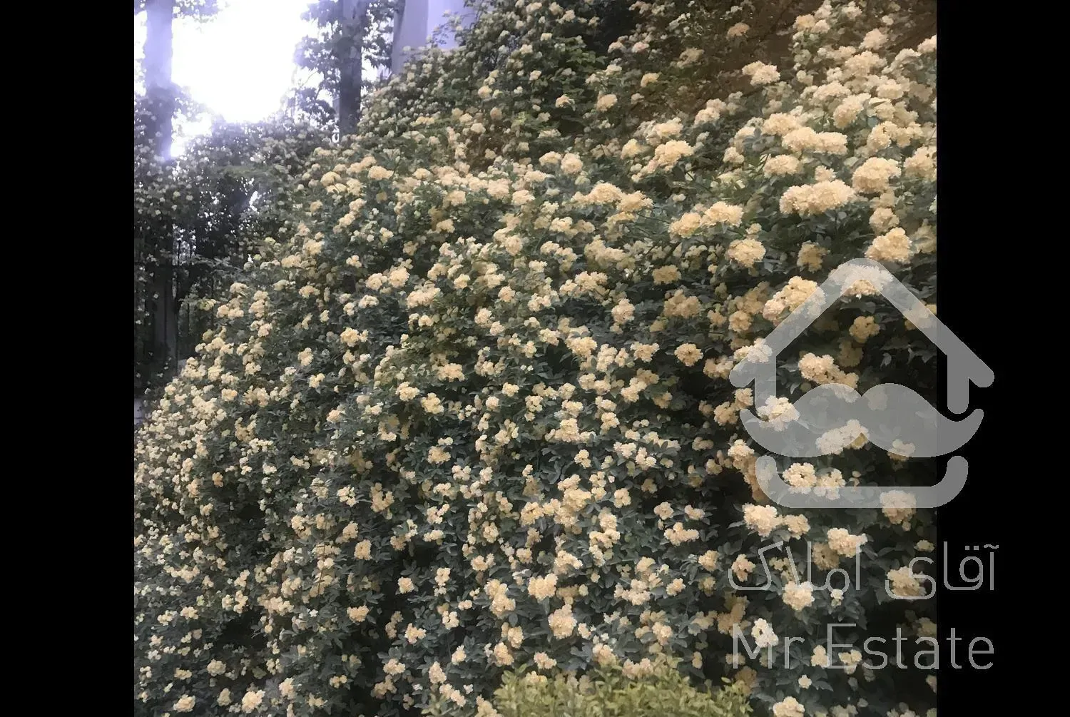 آپارتمان خوش نقشه در لوکیشن مشجر