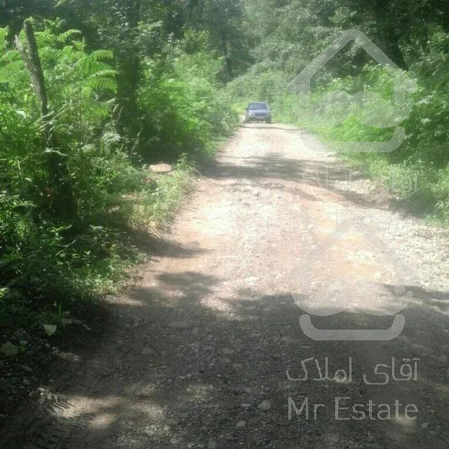 باغ با درخت میوه،با موقعیت آب و‌هوایی بسیار عالی