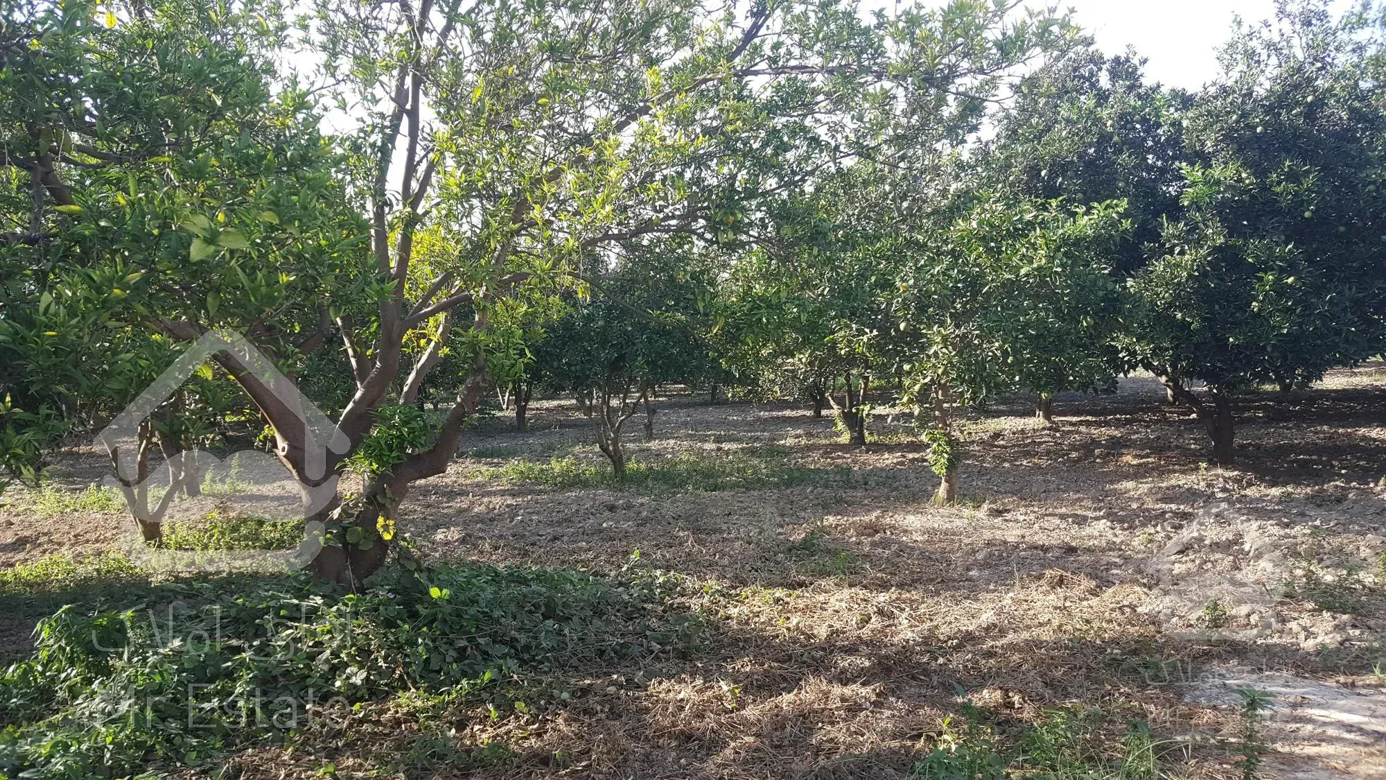 ۱۰۰۰ متر زمین با انشعابات کامل داخل بافت قائمشهر