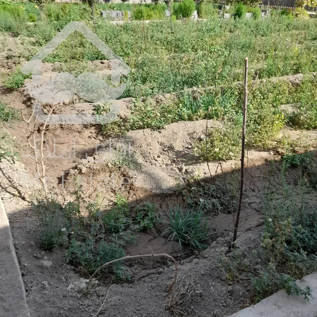 باغ ۶۰۰ متری چهار دیواری