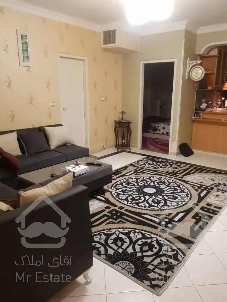 بهار جنوبی /۵۵متر ۱خواب/غرق در نور