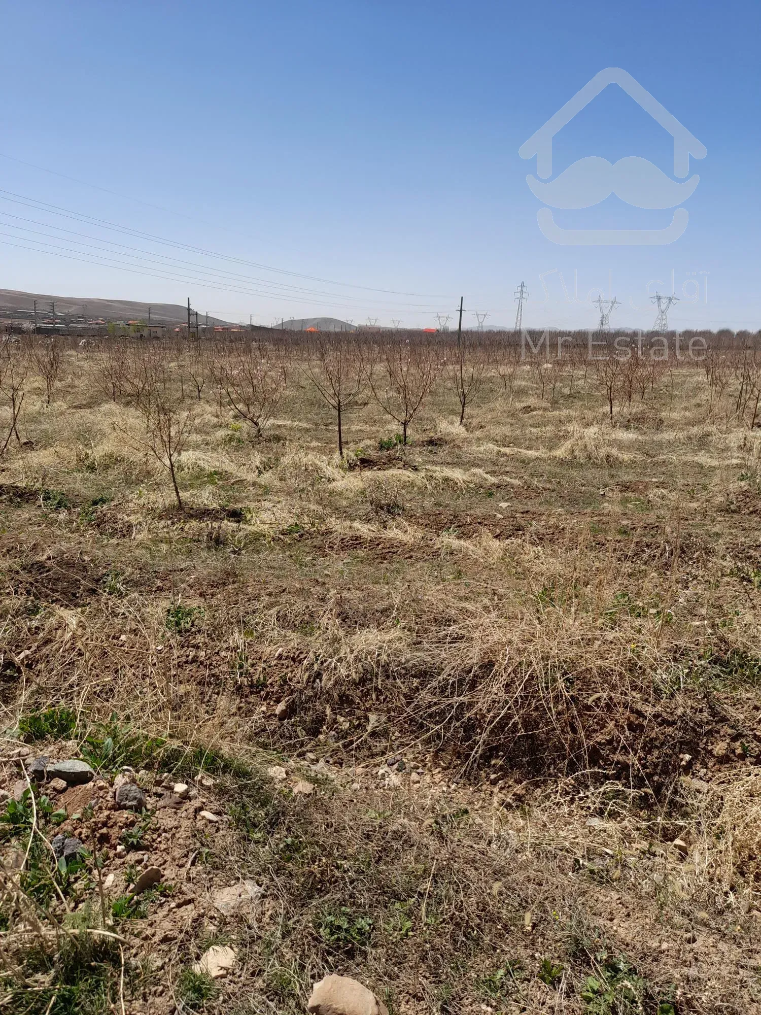 ۱۰۰۰متر زمین کشاورزی با دختان ۵ ساله