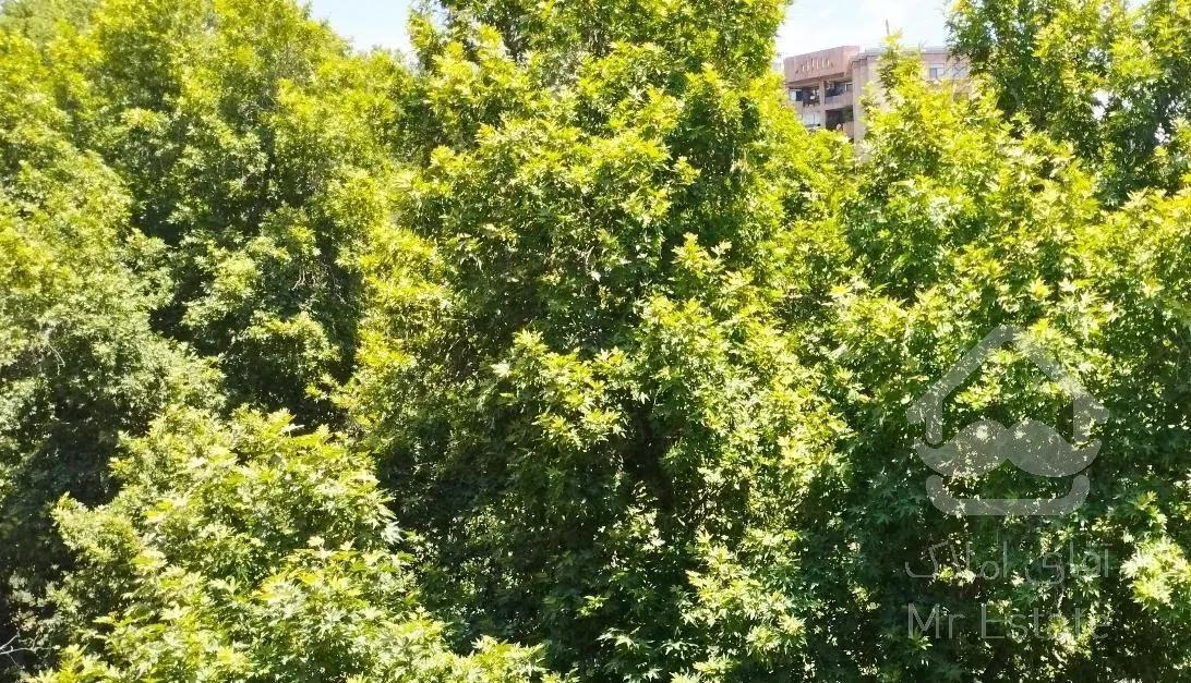 الهیه ۲۱۰ متر ۲۰ متر تراس  ،دید باغ