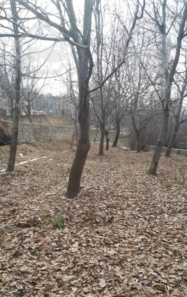 لواسان بزرگ 740 متر  زمین قلفتی