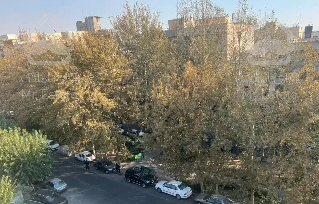 شمال فاطمی  میدان گلها  ۱۱۰ متری ۲ خواب