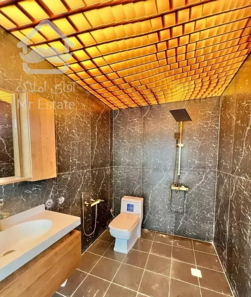 مدرن و  سند تک برگ در چمستان