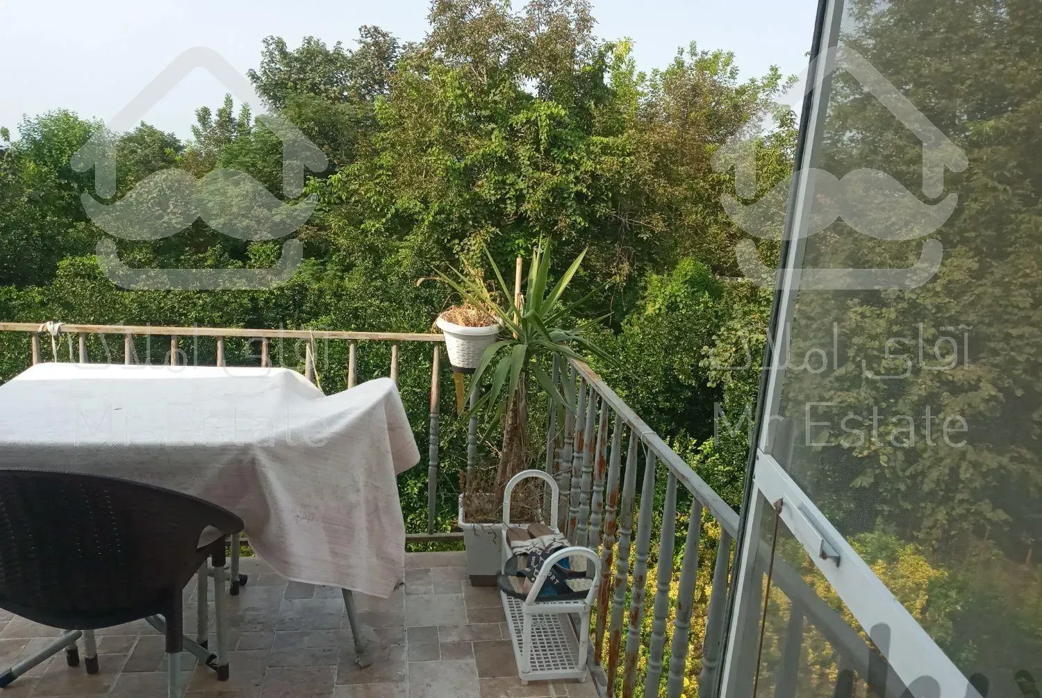 اجازه سوئیت جنگلی گیشار