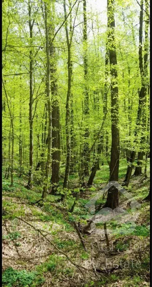 ویلای لاکچری شهرک ساحلی امیردشت سندشاهی