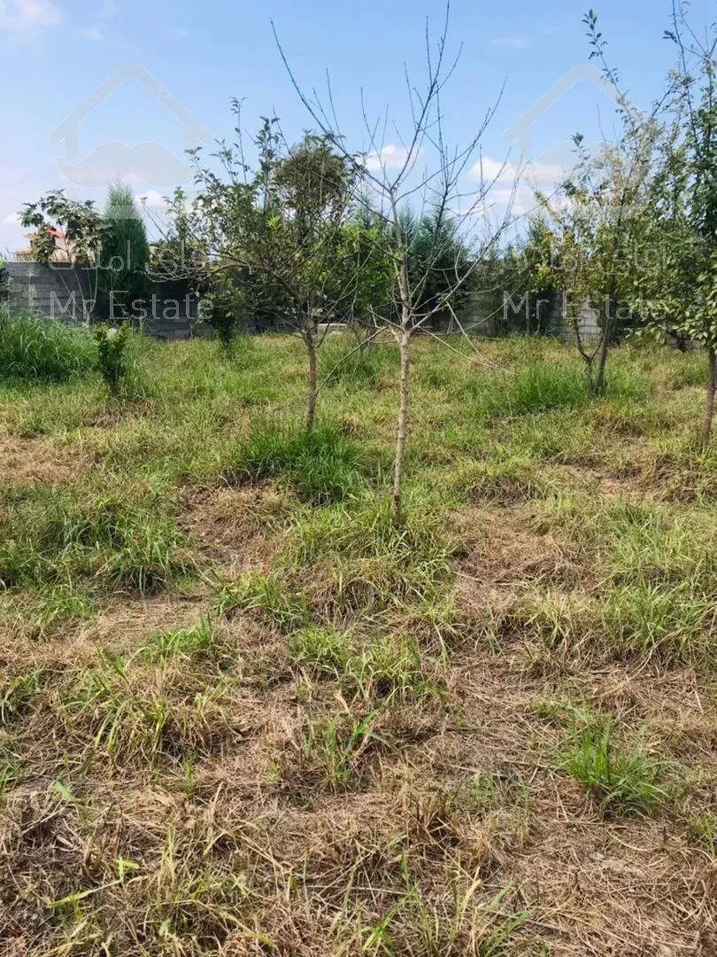 فروش باغ 300 متري منطقه دنج و غير بومي